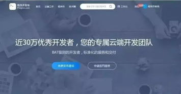 CSDN軟件外包服務 接私活的靠譜平臺探索